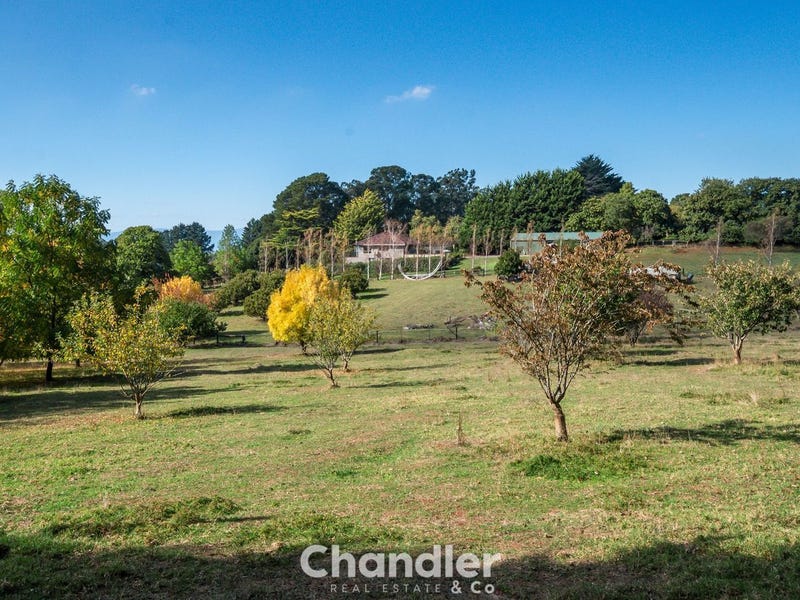 120 Macclesfield Road, Monbulk, Vic 3793 Property Details