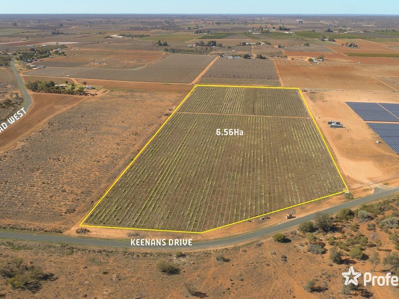 Lot 157 Keenans Drive, Coomealla, NSW 2717 Property Details