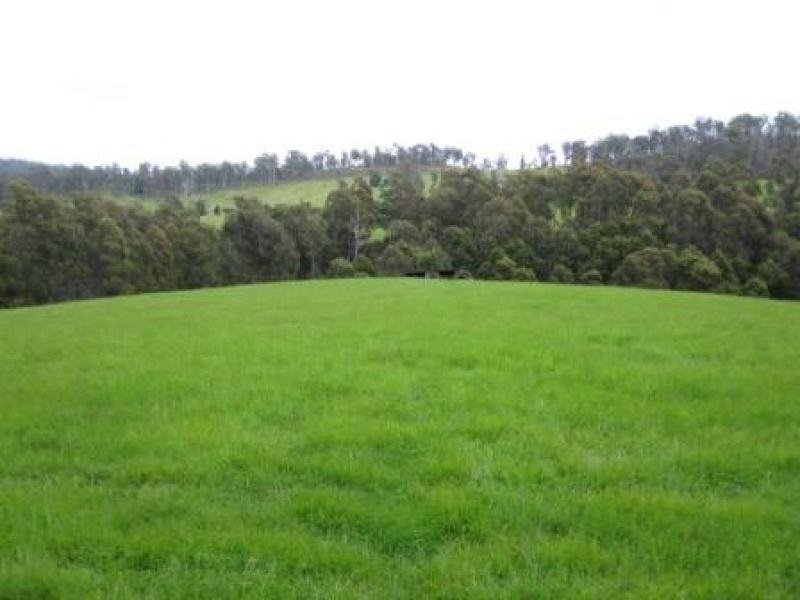 170 Dogwood Park Road, Jetsonville, Tas 7260 Property Details