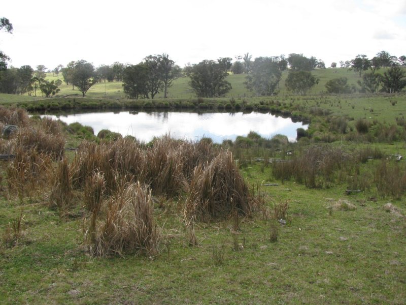 197 Spring Camp road, Enmore, NSW 2350 Property Details