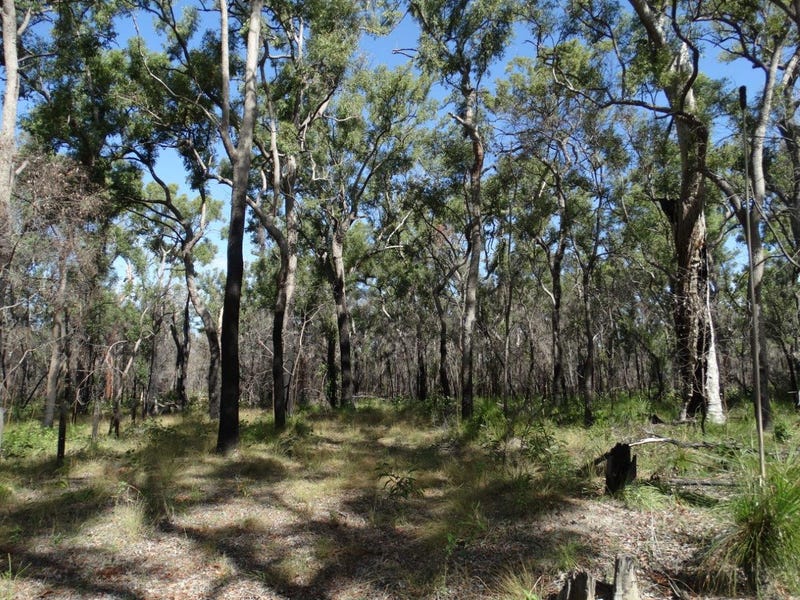 83 Deepwater Road, Deepwater, Qld 4674 Property Details