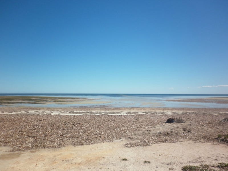 Real Estate & Property for Sale in b Beach, SA 5501 Pg. 3