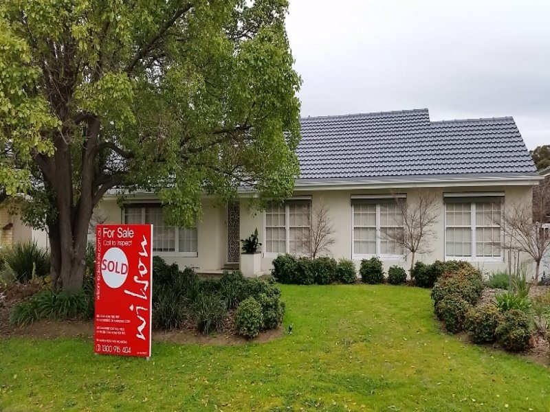 19 Montana Drive, Novar Gardens, SA 5040