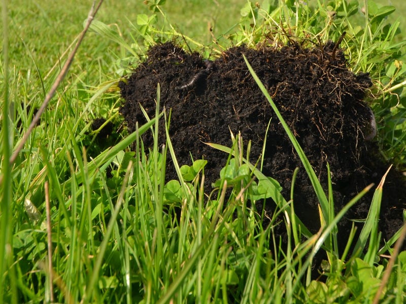 Real Estate & Property for Sale in SA (+1 location) Pg. 15 realestate