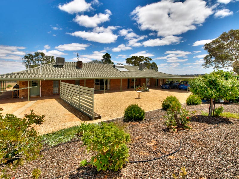 595 Road, Barmera, SA 5345 Property Details