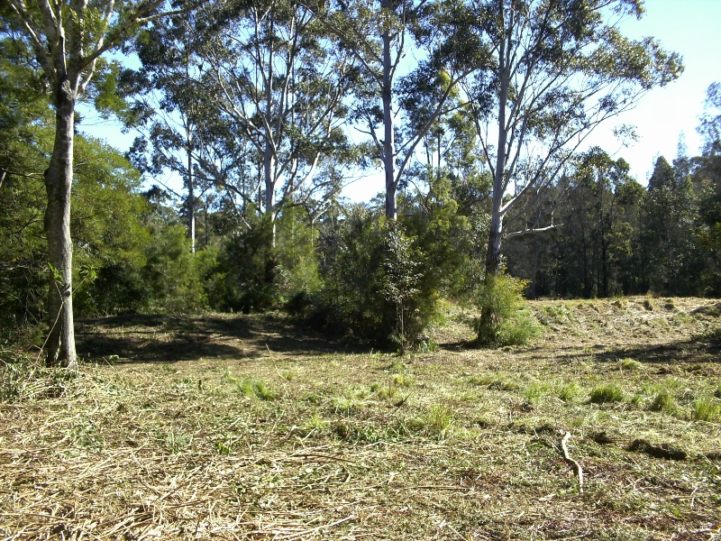 Property 7914126, Coolongolook, NSW 2423 Property Details