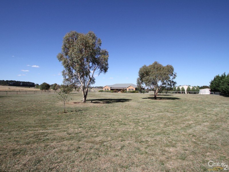 657 Spring Terrace Road, Forest Reefs, NSW 2798