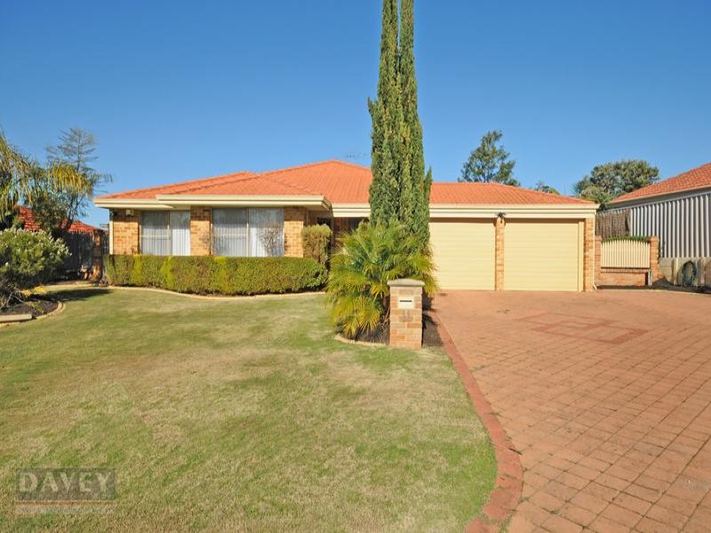 11 Celadon Loop, Banksia Grove, WA 6031