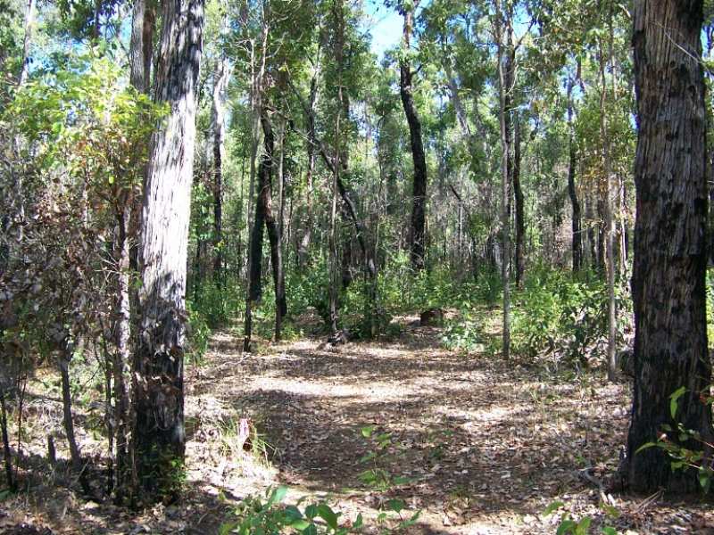 Sold Property Prices & Auction Results in Collins, WA 6260 Pg. 24