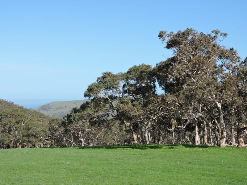 Property 7980730, Delamere, SA 5204 Property Details