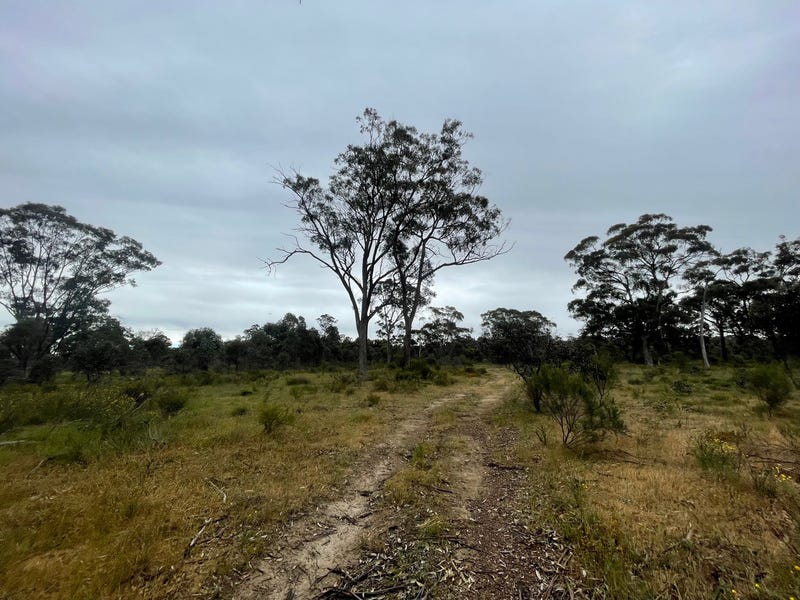 Real Estate & Property for Sale in Castlemaine Greater Region, VIC