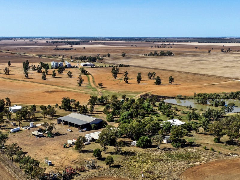 1023 Wonbobbie Lane, Warren, NSW 2824 Property Details