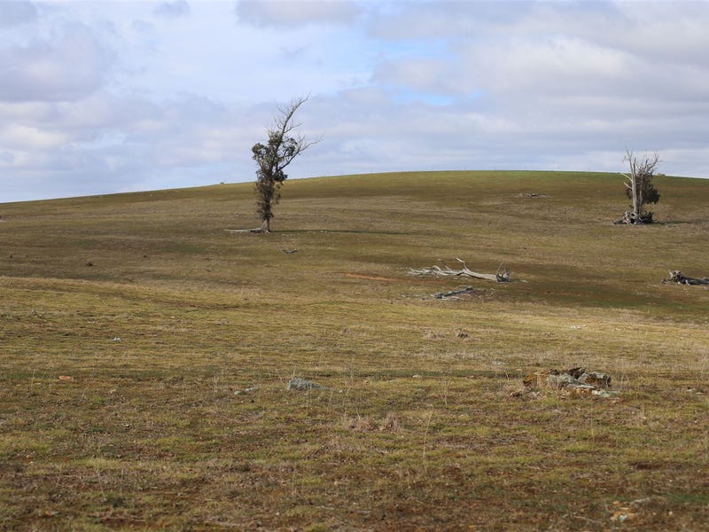 Property 7980182, Gunning, NSW 2581 Property Details