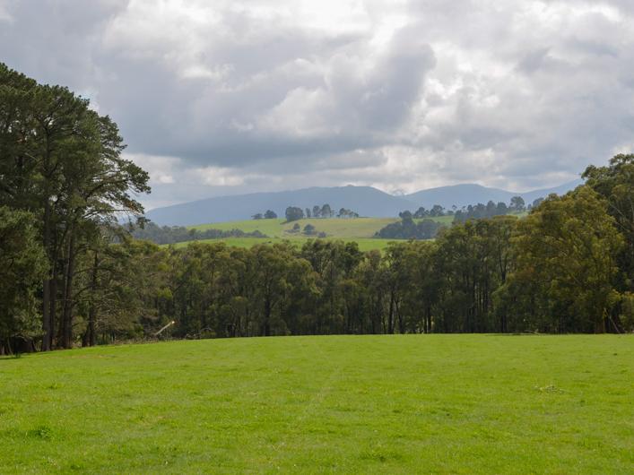 595 Sheepstation Creek Road, Yellingbo, Vic 3139