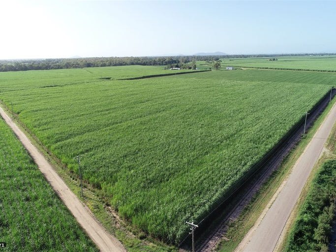 386 Anabranch Road, Jarvisfield, Qld 4807 Cropping for Sale