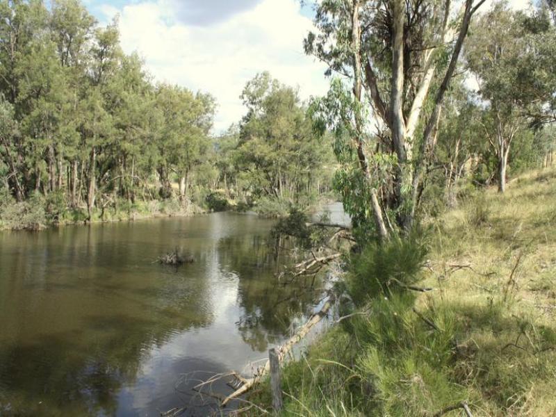 107, Mole River Road, Tenterfield, NSW 2372 - Property Details