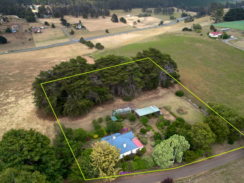 105 Jetsons Road, Jetsonville, Tas 7260 Property Details