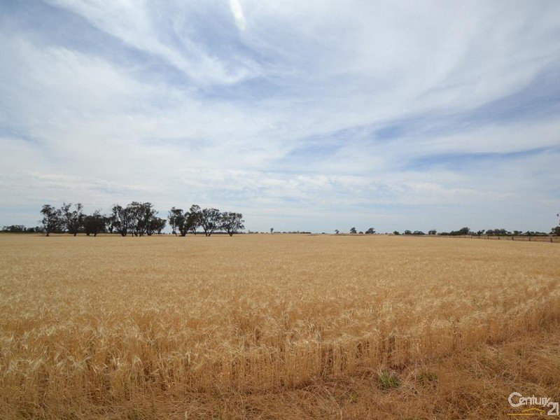 330 Thyra Road, Moama, NSW 2731