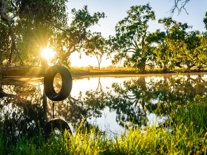370 Bindango Road, Roma, Qld 4455 Livestock for Sale