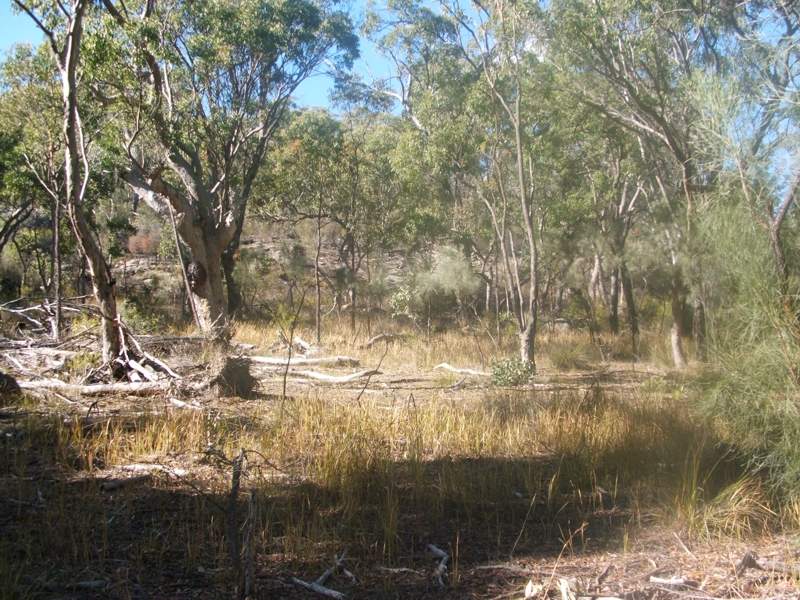 Gulf Road, Emmaville, NSW 2371 Property Details