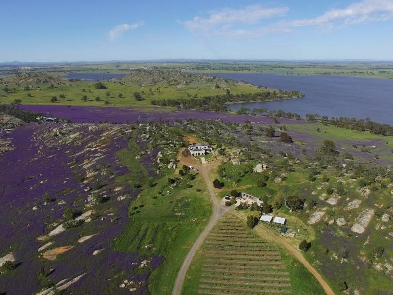 24 Back Cairn Curran Road, Baringhup, Vic 3463 Property Details