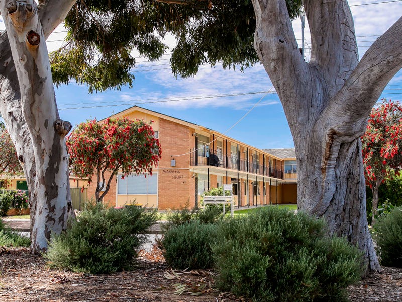 3/62 Maxwell Terrace, Glengowrie, SA 5044 Property Details