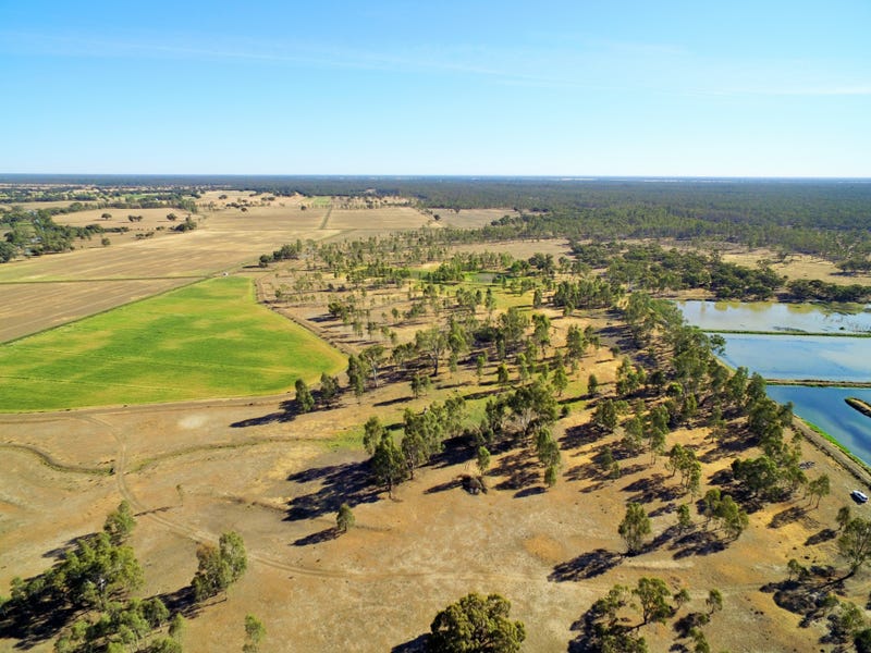 Rural properties for Sale in Barham, NSW 2732