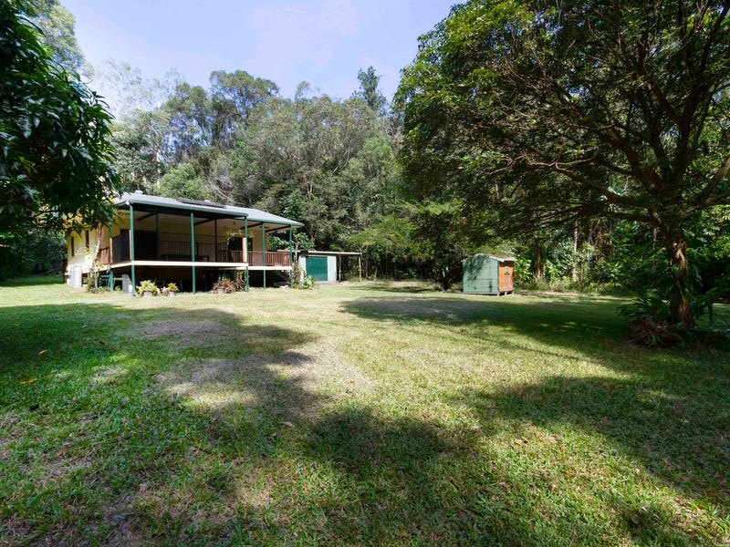 3 Forest Creek Road, Daintree, Qld 4873 Property Details