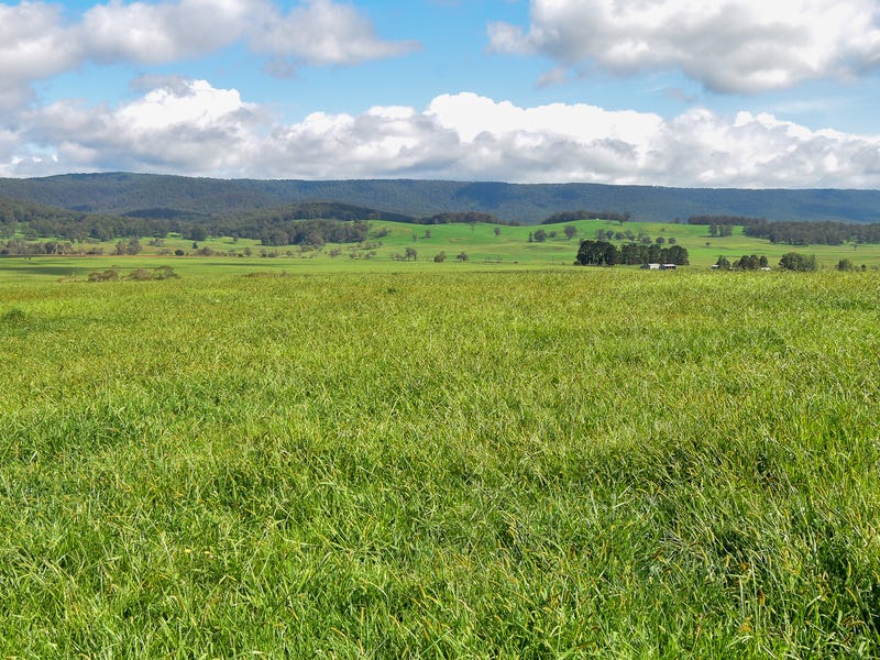 747 Upper Yarrowitch River Road, Yarrowitch, NSW 2354