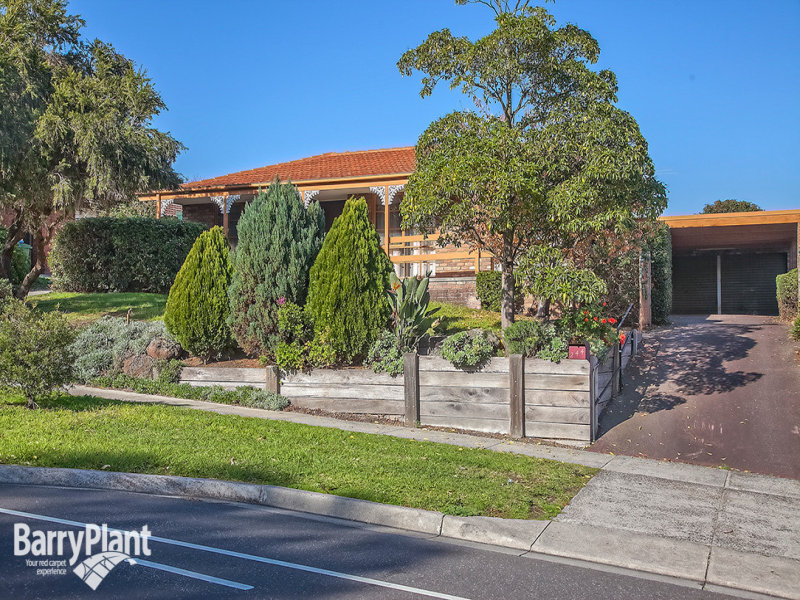 244 James Cook Drive, Endeavour Hills, VIC 3802