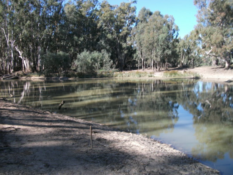 Edwards River, Barham, NSW 2732 - Property Details