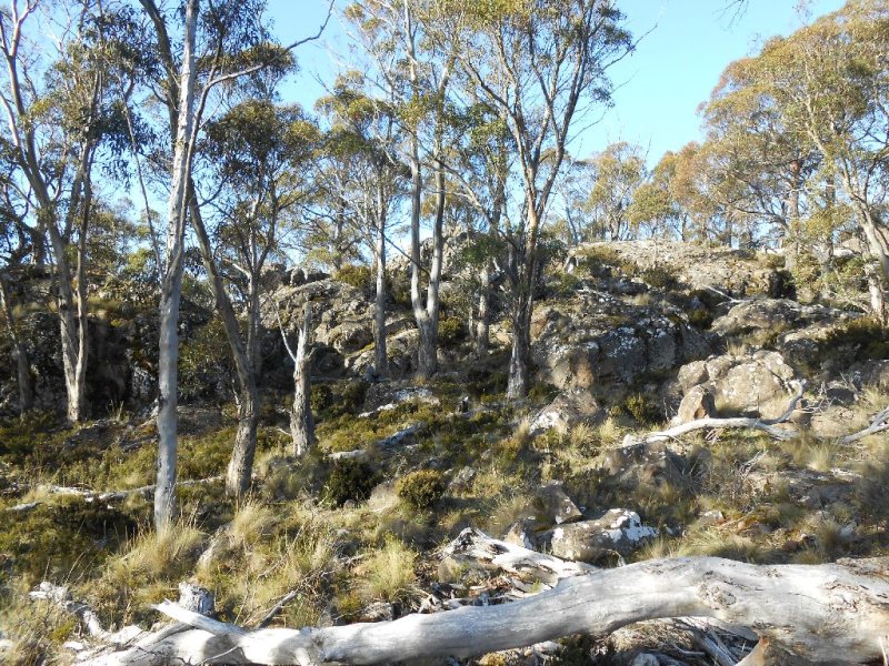 Lot 585 Little Dog Court, Miena, Tas 7030 Residential Land for Sale