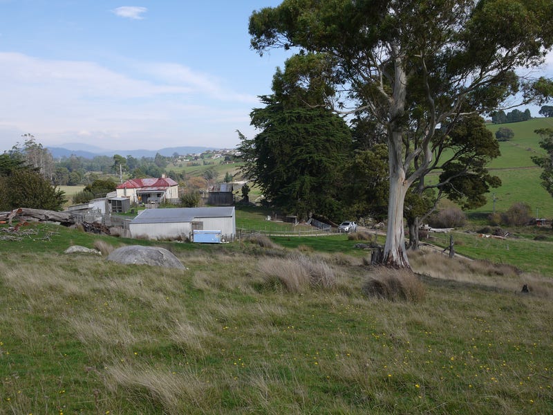 117 North Scottsdale Road, Scottsdale, TAS 7260