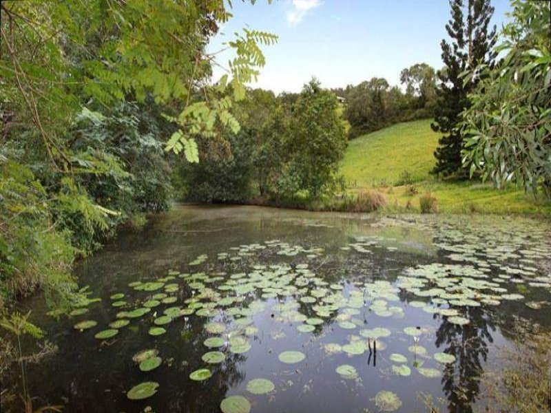 441 Gold Creek Road, Brookfield, QLD 4069