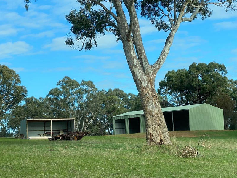 4242 ColeraineBalmoral Road, Balmoral, Vic 3407 Lifestyle for Sale