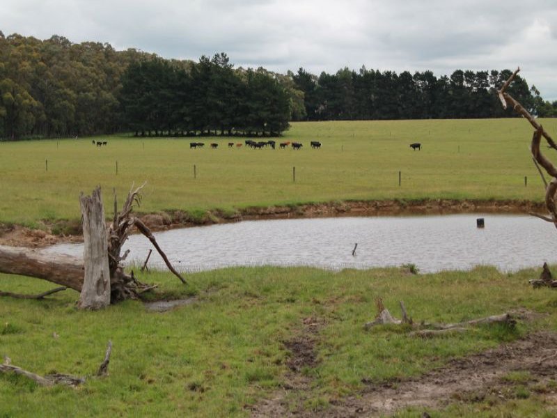 273 DARNUM SHADY CREEK ROAD, Darnum, Vic 3822 Property Details