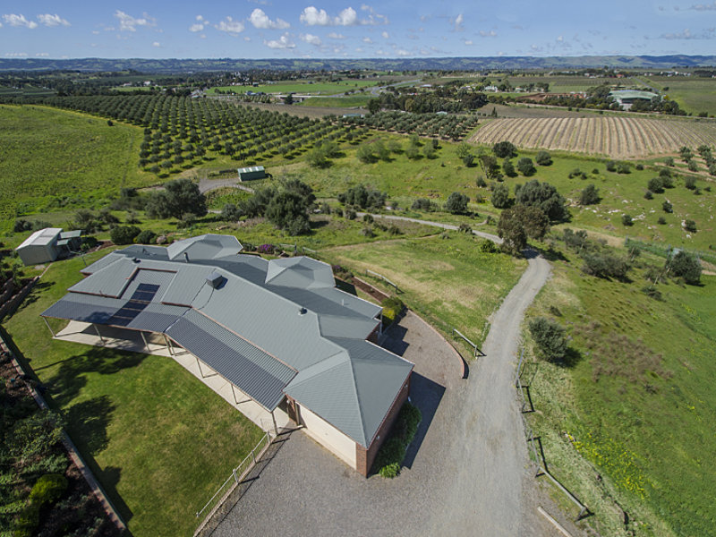 45 Carissa Road, Mclaren Vale, SA 5171