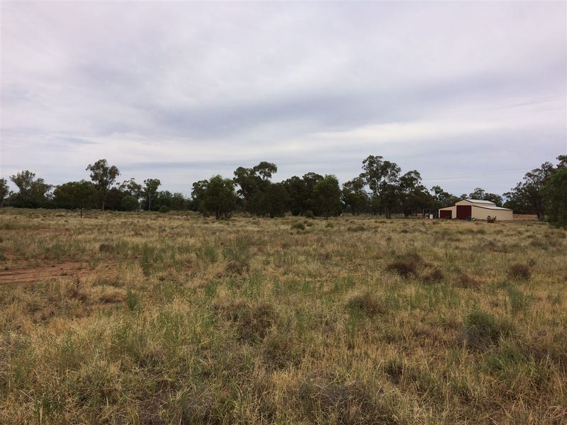 Property 7948086, Warren, NSW 2824 Property Details