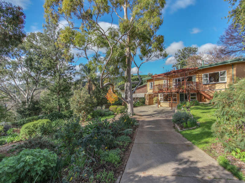 1 Chelmsford Avenue, Mitcham, SA 5062 Property Details