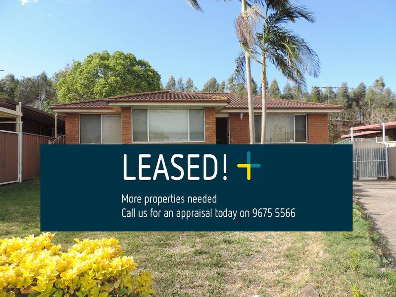 19 Anthea Place, Dean Park, NSW 2761