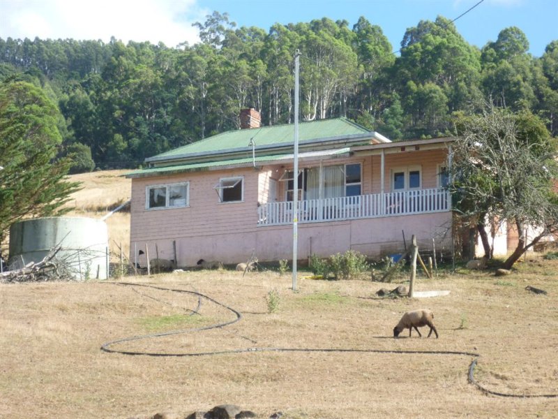 1730 South Riana Road, Gunns Plains, TAS 7315