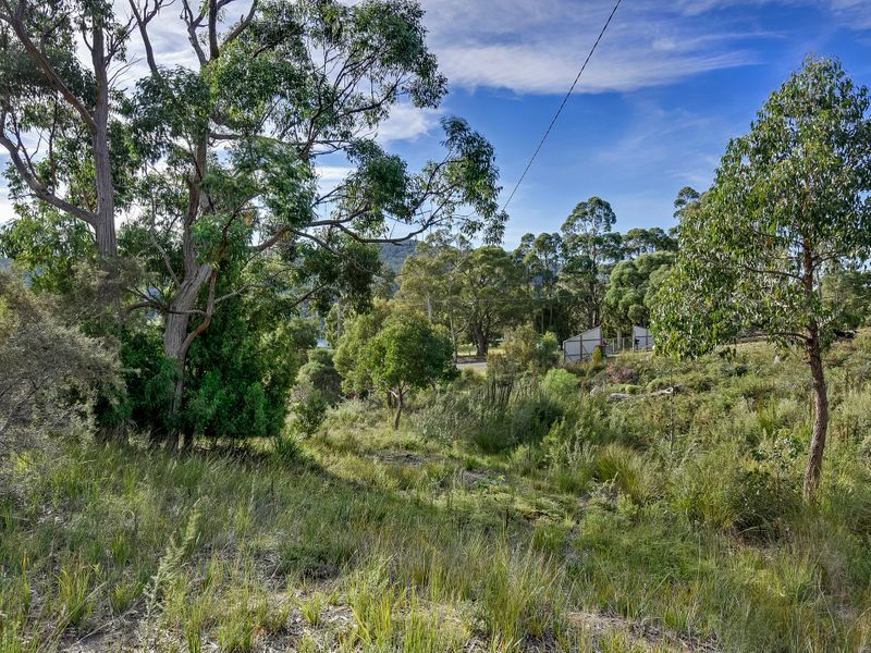 46 Ferntree Road, Eaglehawk Neck, Tas 7179 Residential Land for Sale