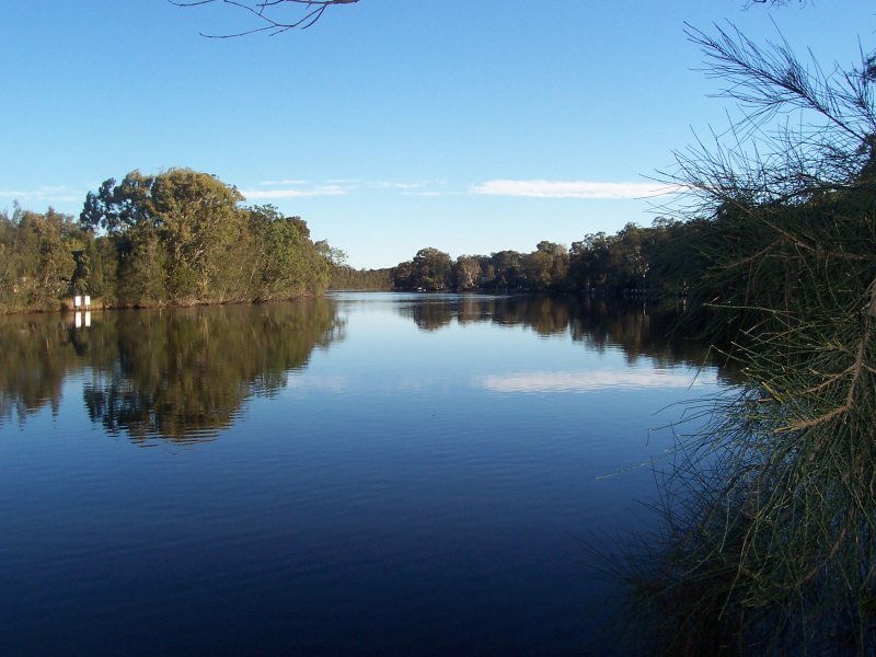 73 Wolseley Avenue, NSW 2259