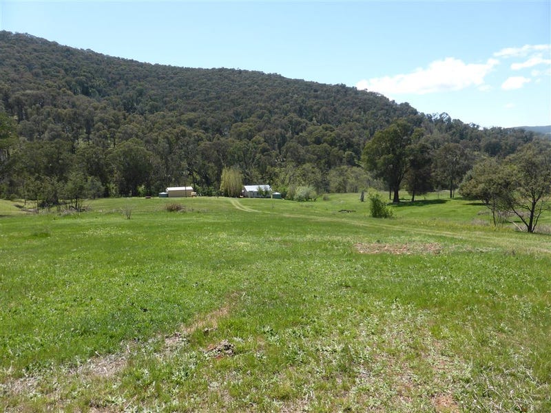 39 Lochiel Road, Lankeys Creek, Holbrook, NSW 2644 Property Details