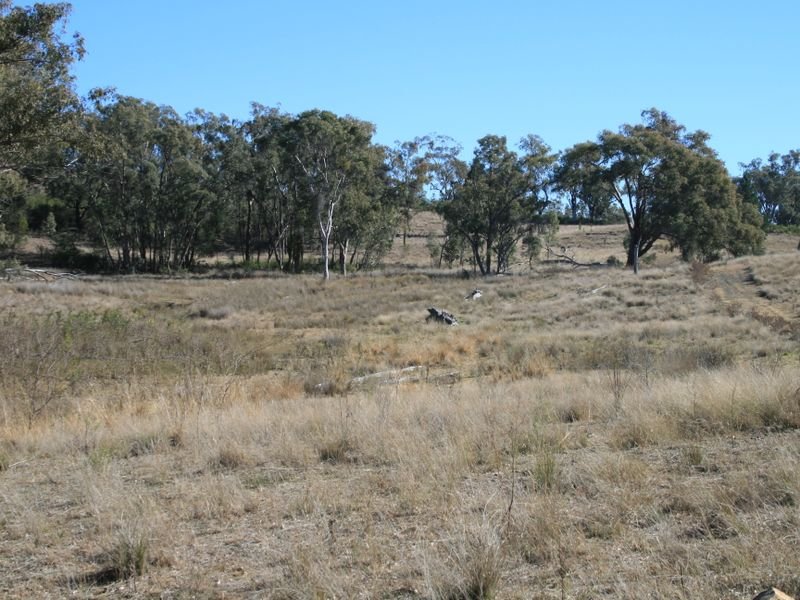 Lot 2 Texas Stanthorpe Road, Stanthorpe, Qld 4380 Property Details