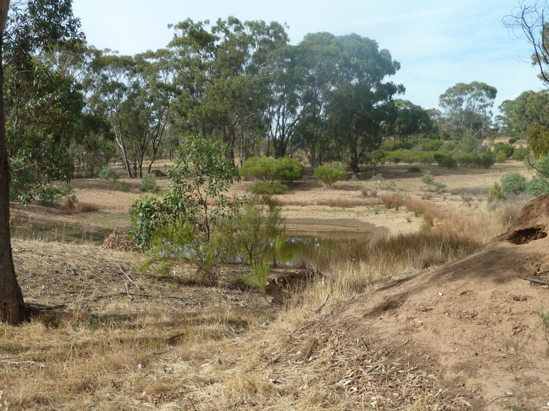 432 Boort-Wedderburn Road, Wedderburn, Vic 3518 - Property Details