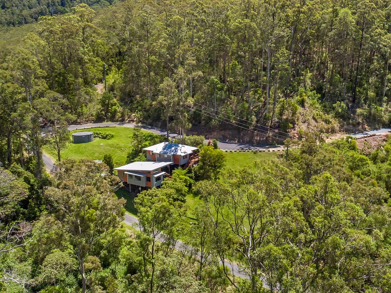 Pest control in Cedar Creek