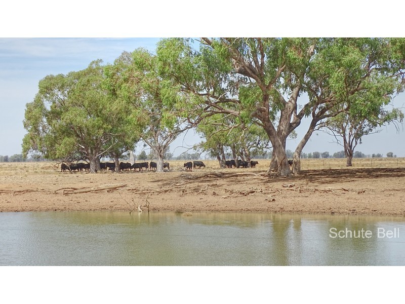 Property 7960986, Trangie, NSW 2823 Property Details