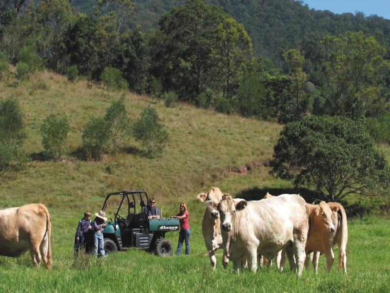 416 Woodward Road, Armstrong Creek, Qld 4520