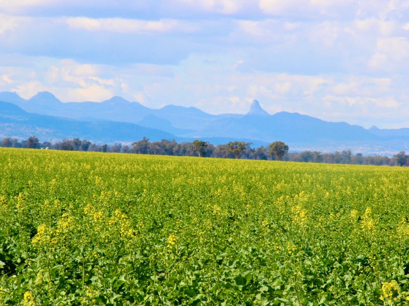 "Collareen" 874 Cordale Road, Gulargambone, NSW 2828 Cropping for